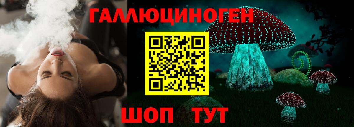 Псилоцибиновые грибы мицелий Клинцы